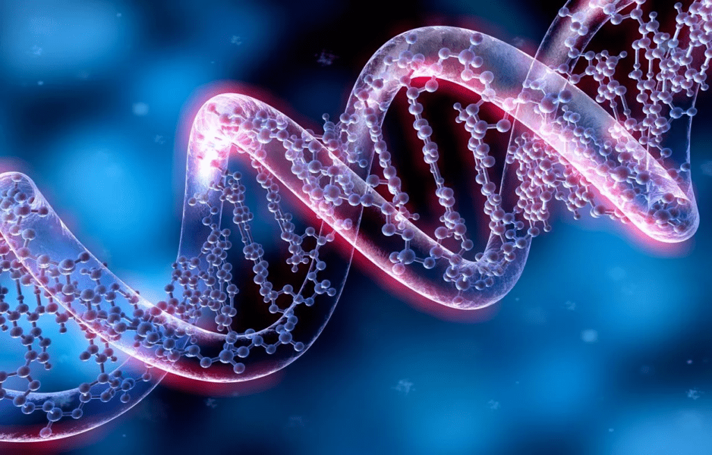 Genetik Soy Testlerindeki Farklı Sonuçların Nedenleri