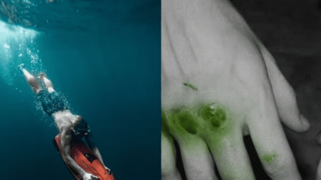 Okyanus Derinliklerinde İnsan Kanı Neden Yeşil Görünür?