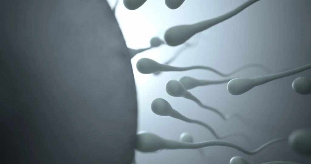 Increases Sperm Count in Men