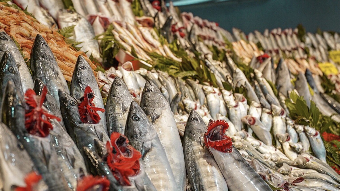 Why Does Seafood Smell Bad?