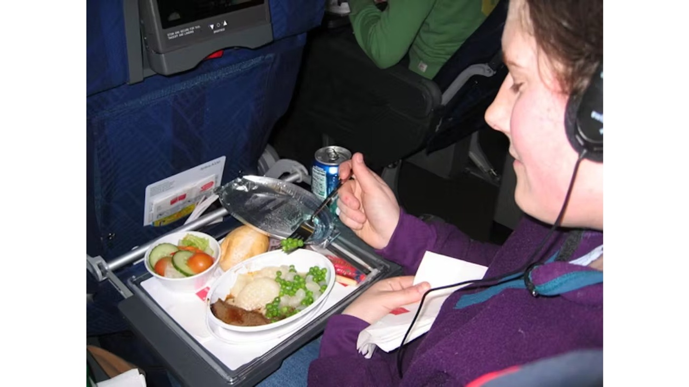 Why Does Airplane Food Taste Bad?