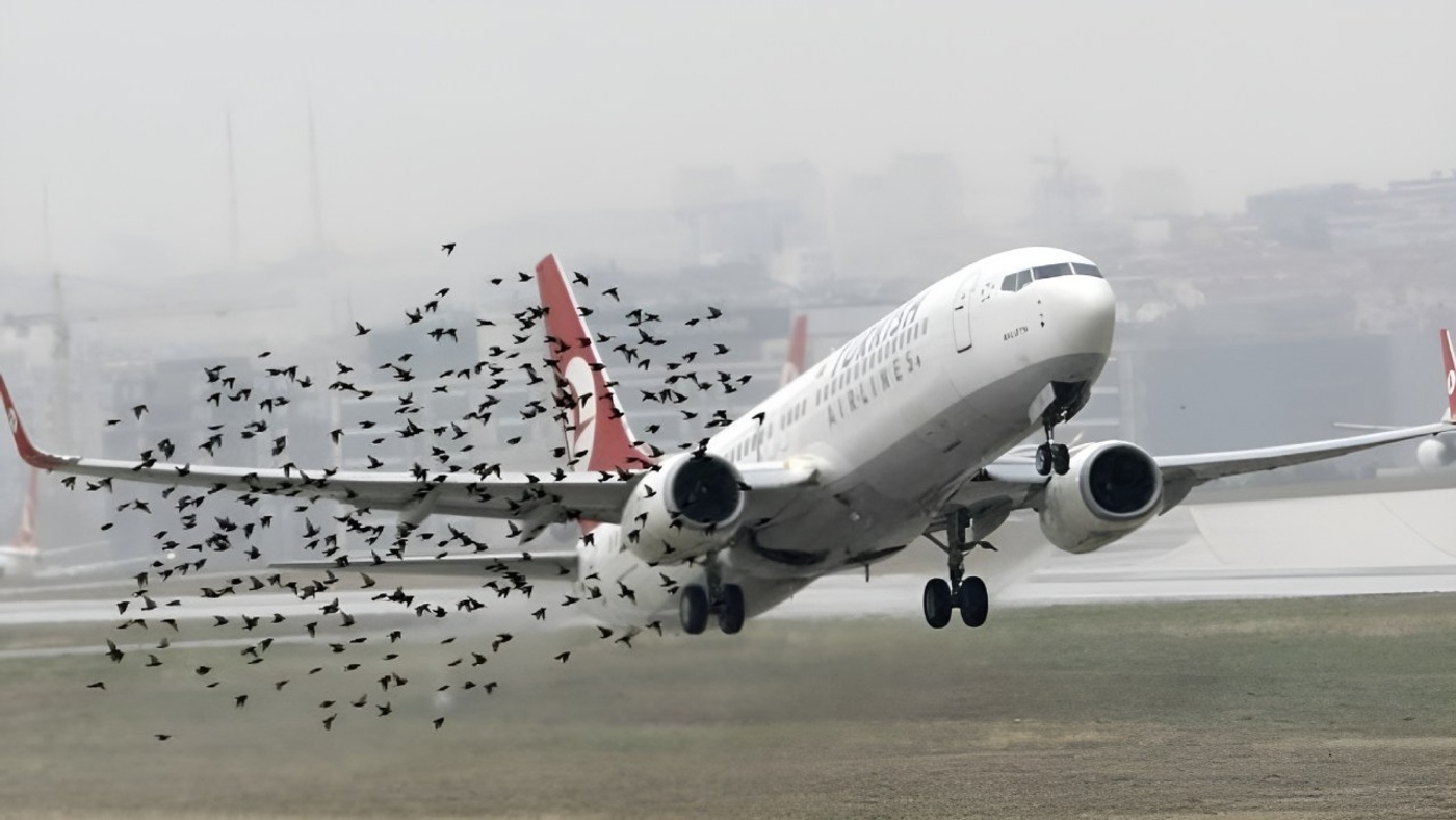 Uçaklarda Güvenliği Sağlayan Sıra Dışı Testler: Kanat, Kuş Çarpması ve Daha Fazlası