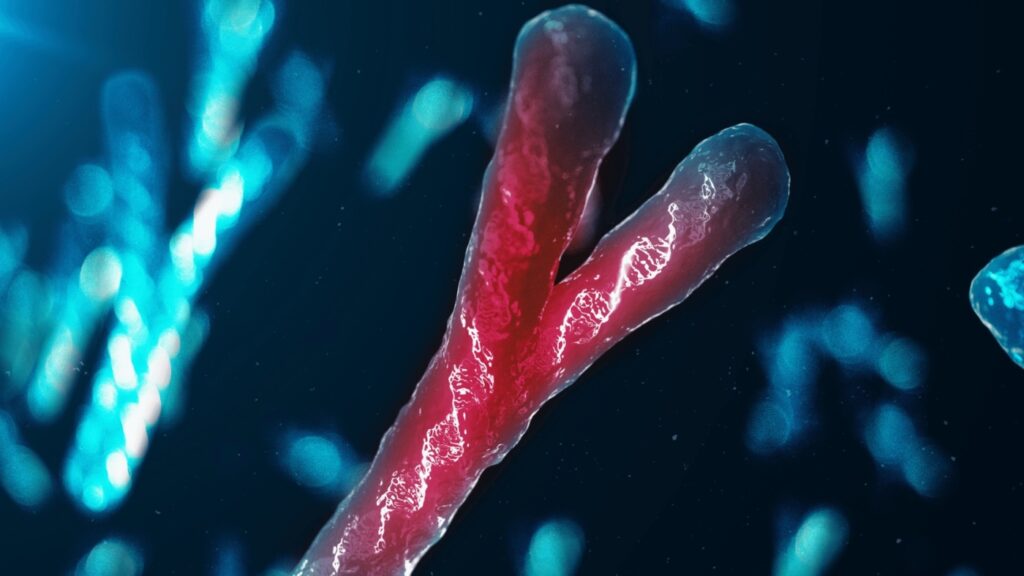 The Potential Extinction of the Y Chromosome and Its Potential Consequences for Humanity