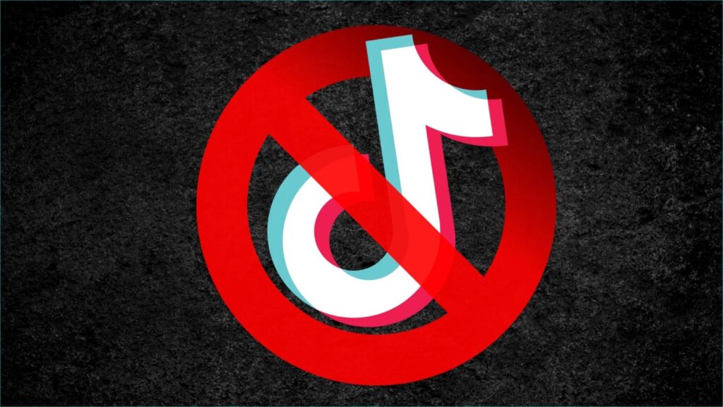 TikTok Seen as a National Security Threat in Turkey