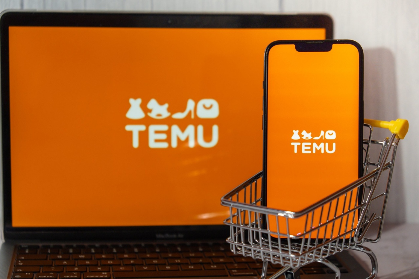 Temu's Parent Company PDD Holdings Announces Revenues