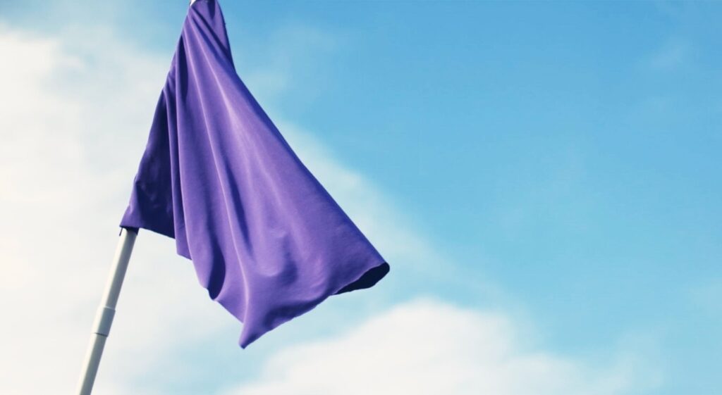 The Rarity of Purple in Flags