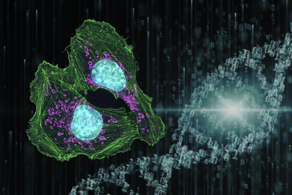 Yüksek Doz Esrar Kullanımı DNA Üzerinde Kalıcı İzler Bırakabilir